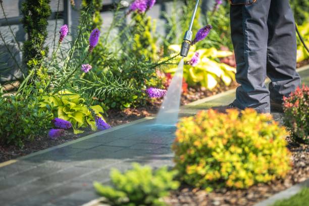 Best Restaurant Pressure Washing  in Plymouth, OH